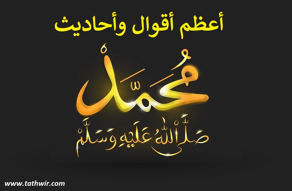 محمد الزهراني